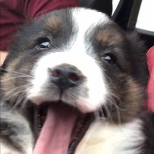 Meet your Posher, Nathan